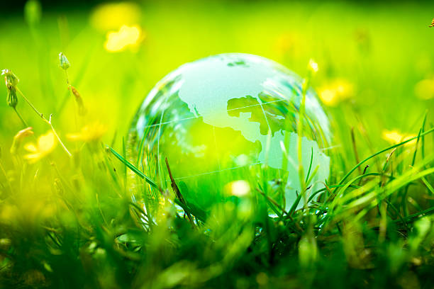 istock Green & Eco environment, glass globe in the garden 484594506