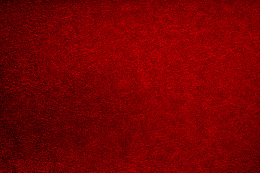 Macro shooting and red leather.