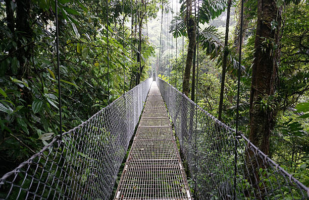 istock Suspended Bridge at La Fortuna 484601797