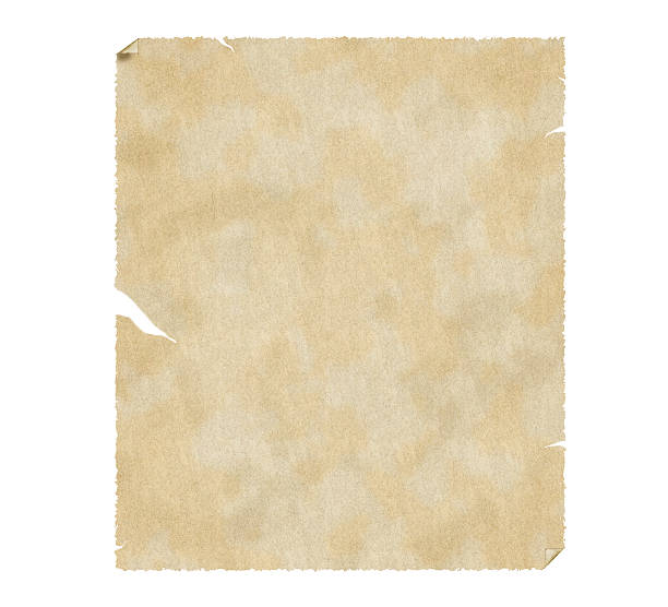 Old grungy paper with stains isolated on white Illustration of old grungy paper with stains isolated on white. Old papyrus with scratches and space for text. at the edge of burnt frame grunge stock pictures, royalty-free photos & images