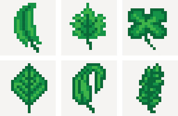 Leaf set. Pixel art vector art illustration