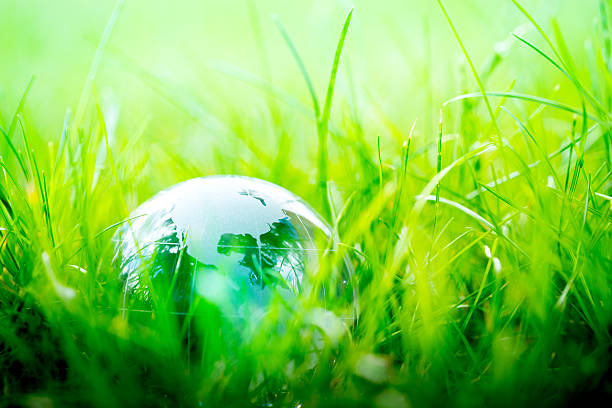istock Green & Eco environment, glass globe in the garden 484604038
