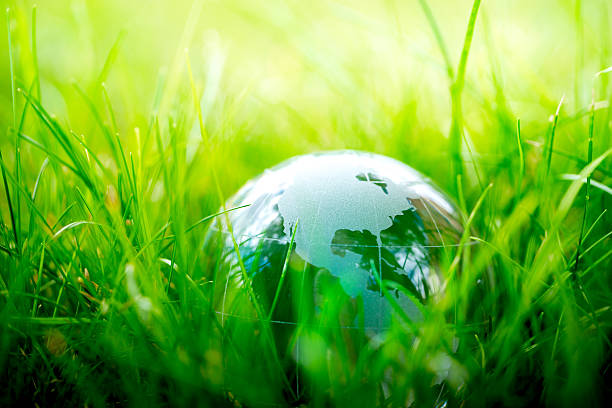 istock Green & Eco environment, glass globe in the garden 484604134