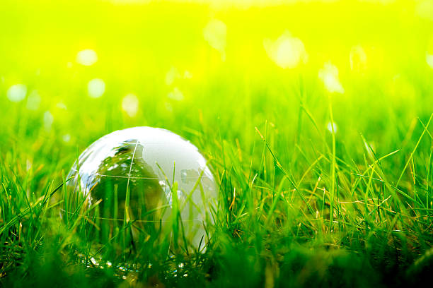 istock Green & Eco environment, glass globe in the garden 484604148