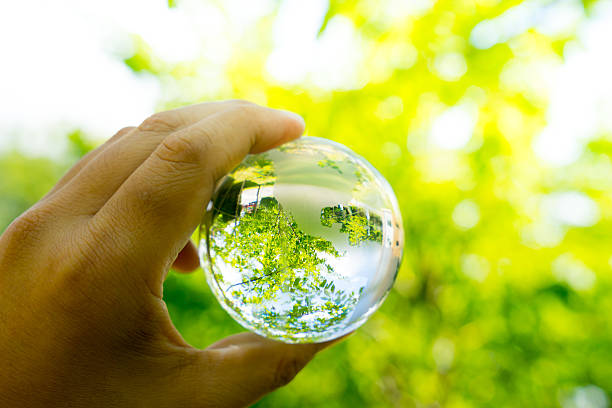 istock Green & Eco environment, glass globe in the garden 484604152