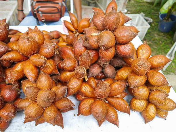 Salacca wallichiana  tropical fruit  in Thailand.