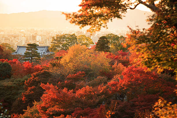 istock Sunset in Kyoto, autumn 484607717