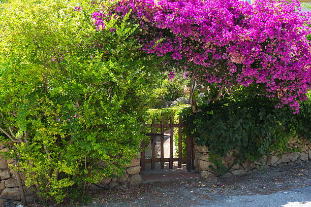 istock entrace to garden 484610008