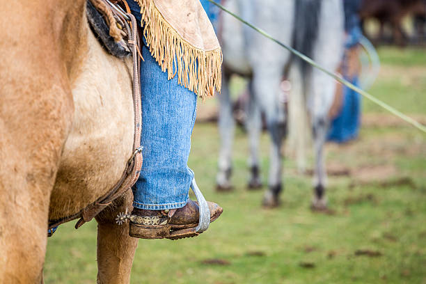 istock Cowboy on a horse 484612838