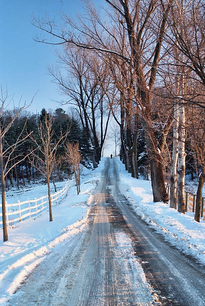 pobre en invierno - clear sky diagonal snow winter fotografías e imágenes de stock