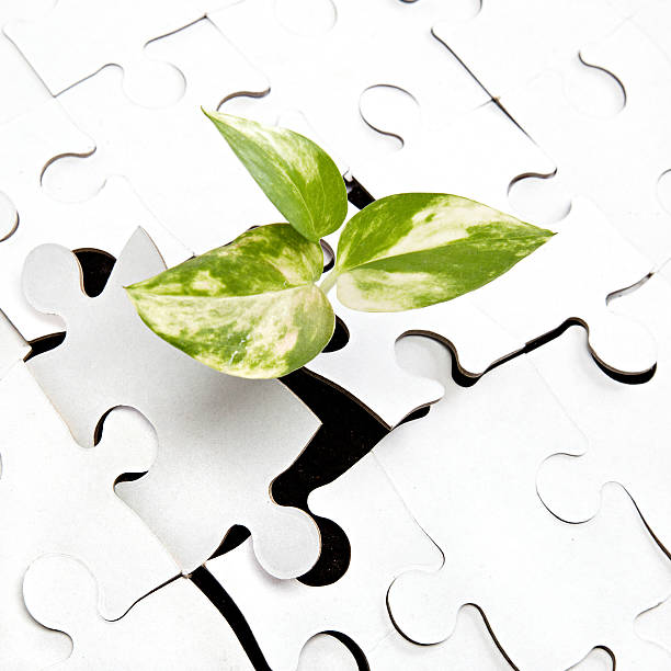 istock Green sprout from the earth makes way through the puzzle. 484619609