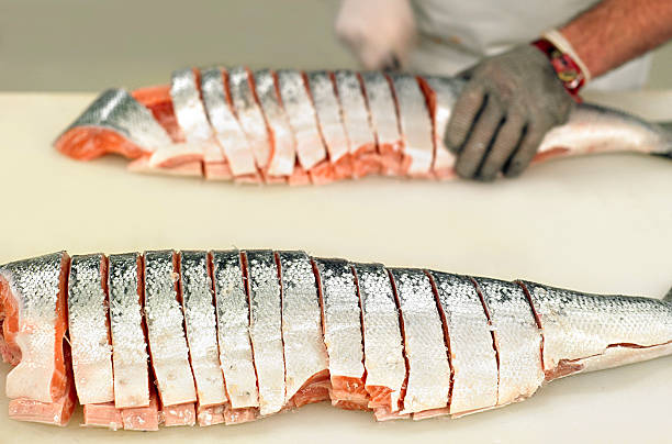 Salmon