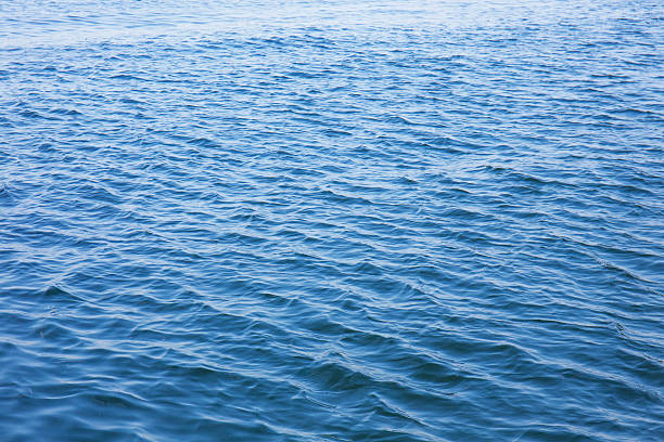 istock sea of summer 484623745