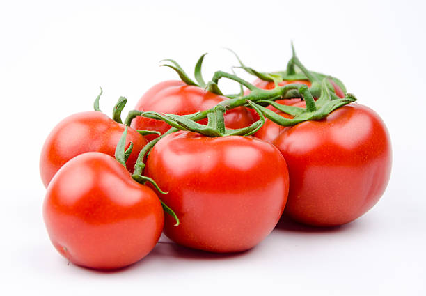 tomato stock photo