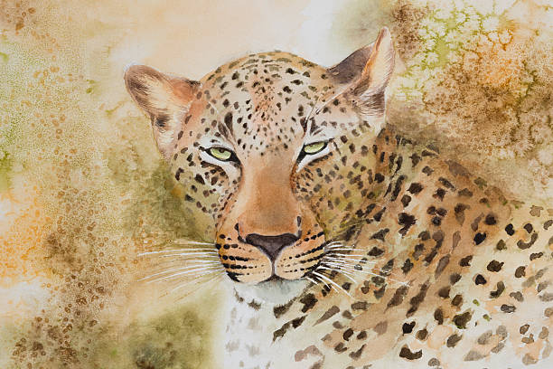 istock Original watercolour, portrait of a leopard. 484625260