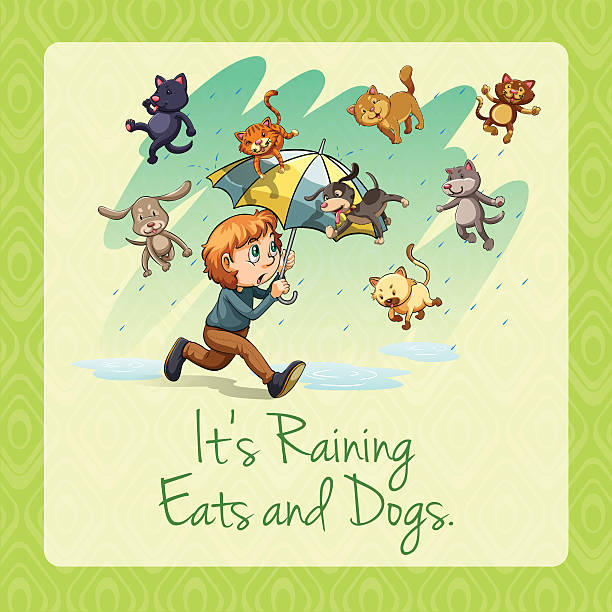 ilustrações, clipart, desenhos animados e ícones de está chovendo cães e gatos english saying - raining cats and dogs