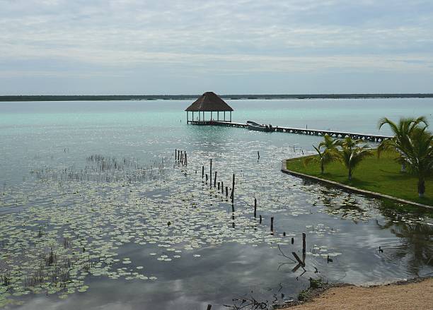 istock beach lagoon Bacalar Mexico lake panorama hut 484648331