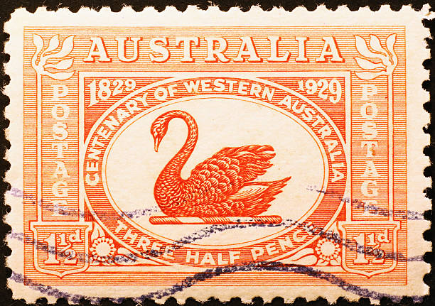 istock Australian stamp of 1929 with a black swan 484649629