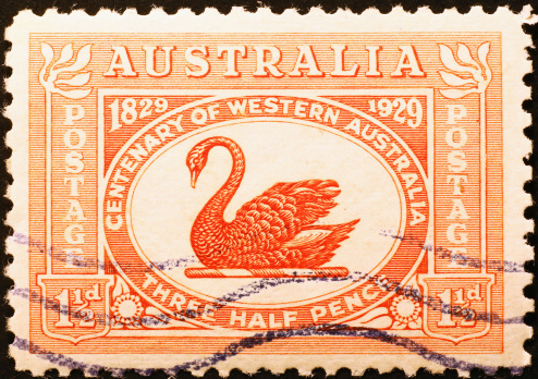 Australian stamp of 1929 with a black swan