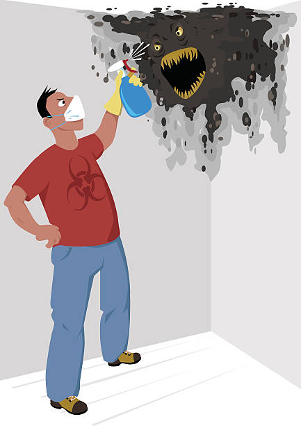 Getting rid of mold Man in a respiratory mask with a bio-hazard sign on his shirt spraying a mold monster on the wall in the house, vector illustration, no transparencies, EPS 8 spore stock illustrations