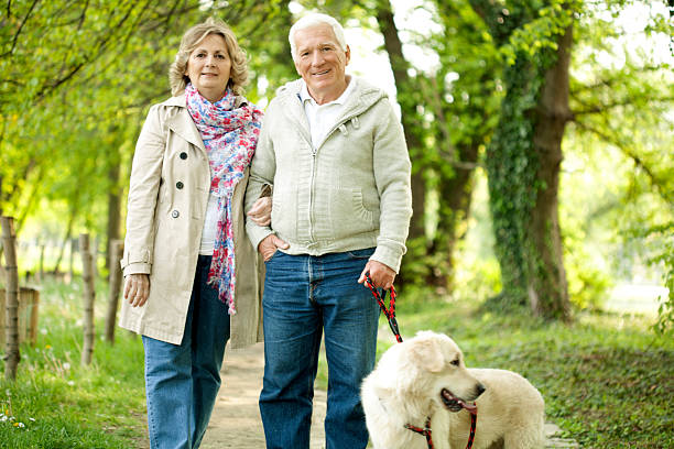 istock Senior couple walking their dog. 484651145
