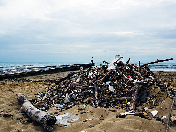 istock Jesolo Beach in Winter. Color Image 484651181