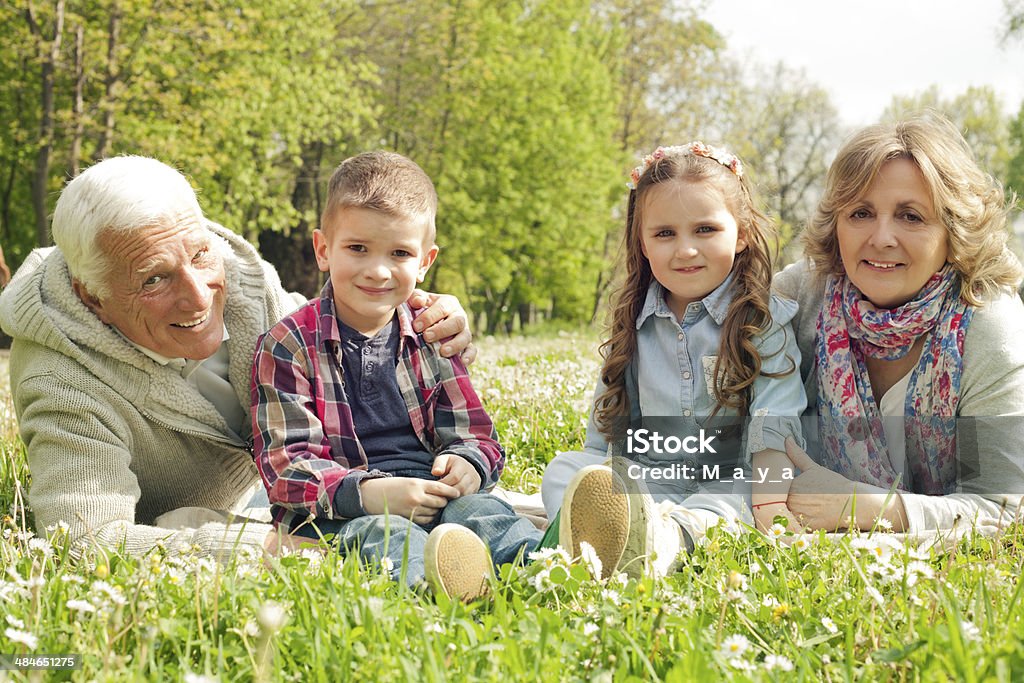 Grandparents with grandchildren in park. Grandparents with grandchildren sitting on grass in park. 4-5 Years Stock Photo