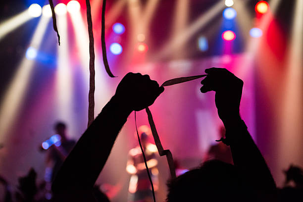 istock Fans party at a music concert 484651975