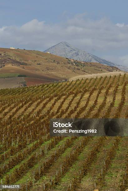 Vineyard On Gentle Slope In Etna Region Sicily Stock Photo - Download Image Now - Agricultural Field, Agriculture, Autumn