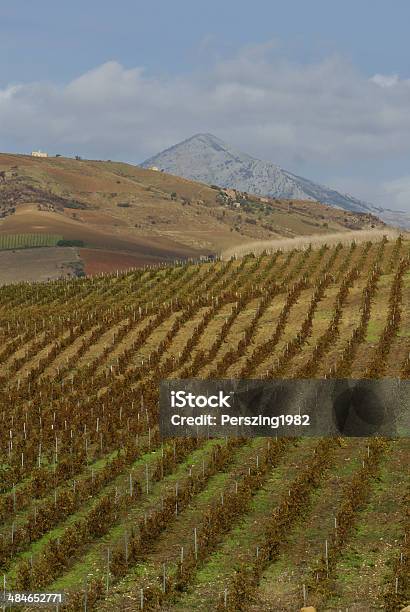 Vinha No Ligeira Declive Em Etna Região Sicília - Fotografias de stock e mais imagens de Agricultura - Agricultura, Ao Ar Livre, Campo agrícola