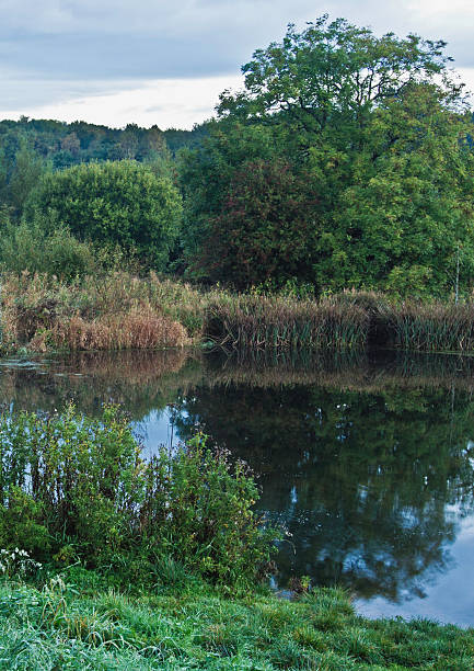 istock Cuerdan Valley park in early morning light, 484654557