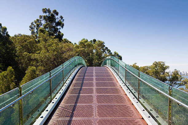kings park ponte di perth australia occidentale - kings park foto e immagini stock