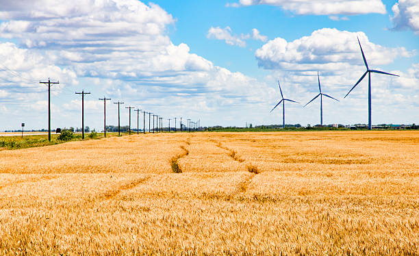 chaude journée d'été avec éoliennes sur les prairies - manitoba prairie landscape canada photos et images de collection