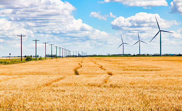 calda estate giornata con turbine eoliche su prairies - manitoba prairie landscape canada foto e immagini stock