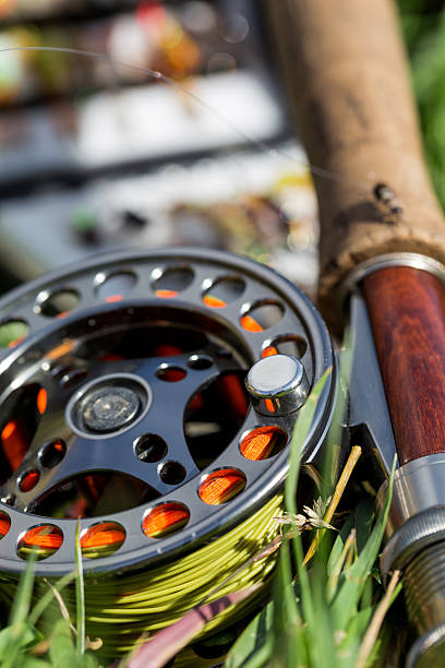 istock fly fishing bugs and road with real 484659022