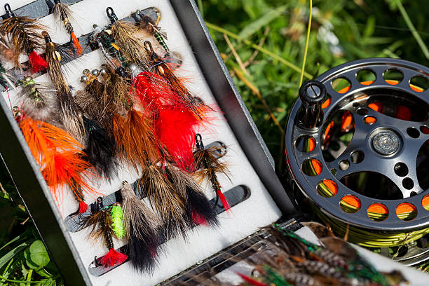 istock fly fishing bugs and road with real 484659026