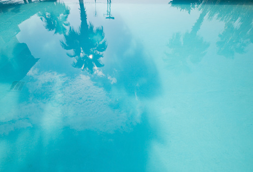 Palm Tree Reflection in the swimming pool