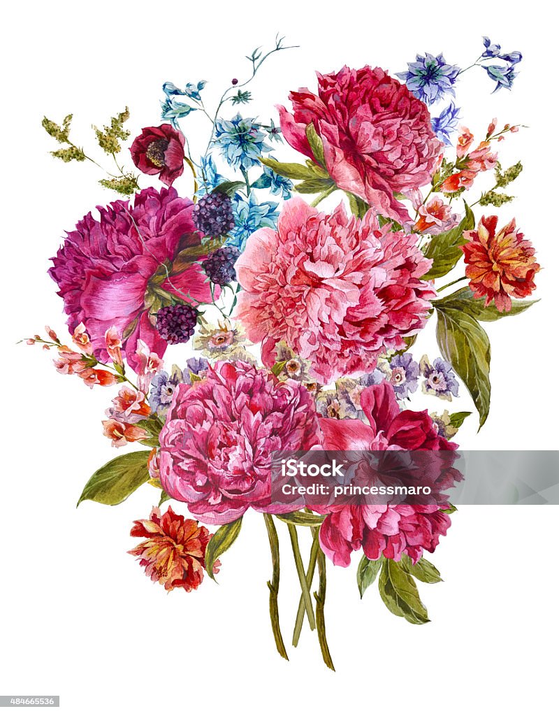 Watercolor Floral Bouquet with Burgundy Peonies in Vintage Style Gentle Summer Floral Bouquet with Burgundy Peonies, Hyacinths, Blackberry and Wild Flowers in Vintage Style, Botanical Greeting Card, Watercolor illustration on white Background. Peony stock illustration