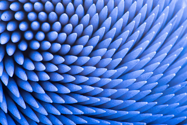 pattern di sfondo - motivo naturale foto e immagini stock