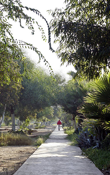 Walking The Beautiful New Park In Tijuana Mexico