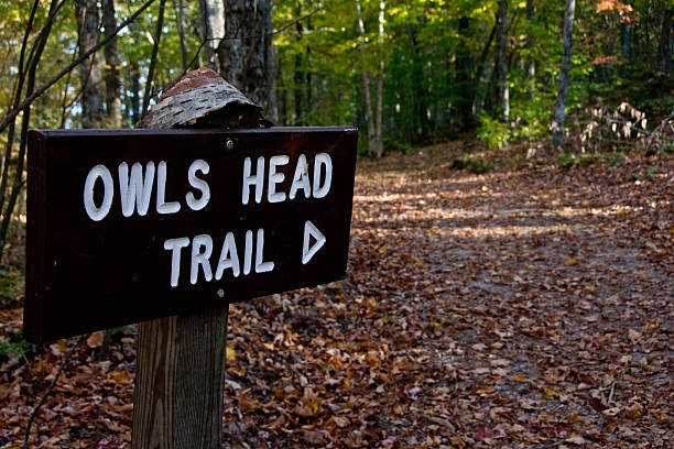 istock Owl's Head Trail sign in Groton, Vermont 484670903