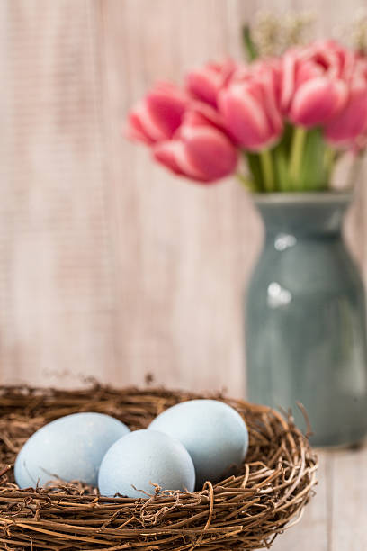 istock Blue Easter Eggs in Nest with Pink Tulips in Background 484671583