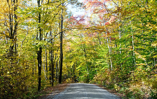 istock Owl's Head Mountain Road in Groton, Vermont 484671741