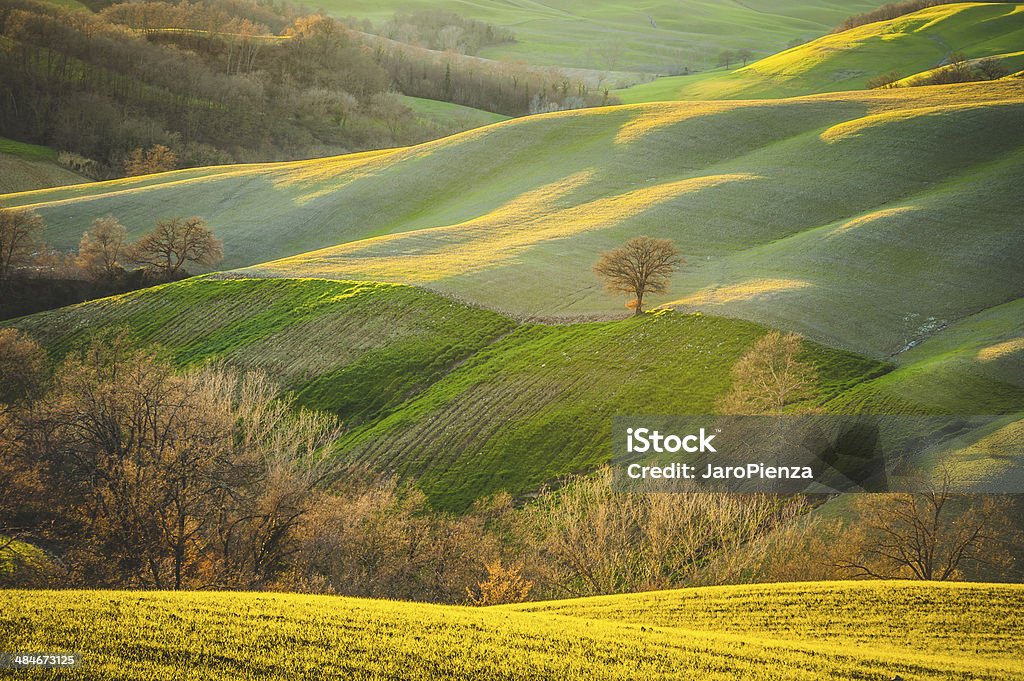 Spring Tuscan fields bathed in warm sunlight Spring Tuscan fields bathed in warm sunlight between Siena and Rome Agriculture Stock Photo