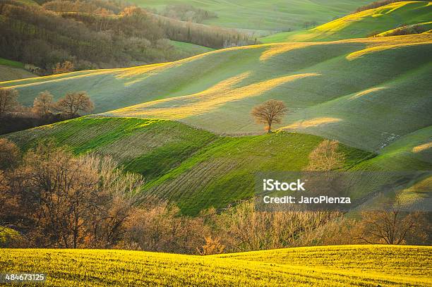 Spring Tuscan Fields Bathed In Warm Sunlight Stock Photo - Download Image Now - Agriculture, Farm, Hill