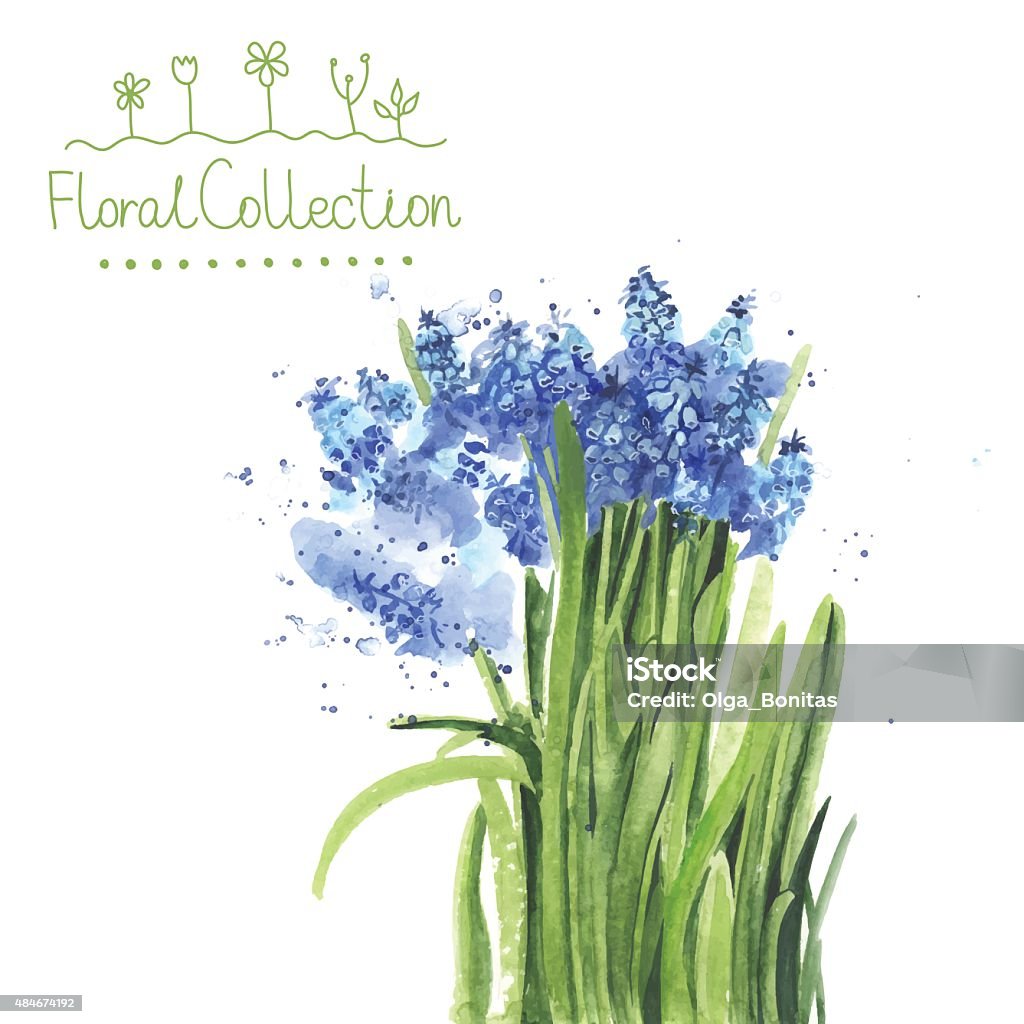 Bouquet of watercolor muscari A bouquet of watercolor muscari made in vector. Romantic greeting card. Watercolor Painting stock vector