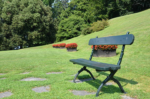 Park bench stock photo