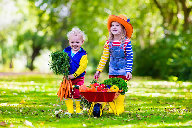 istock Kids picking vegetables on organic farm 484675242