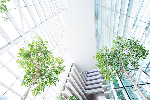 istock contemporary hallway of modern office building 484675311