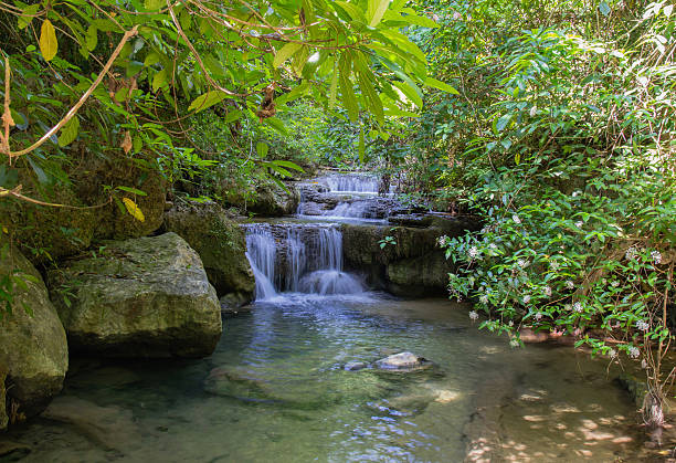 エラワン滝の深い森 - waterfall erawan tropical rainforest tree ストックフォトと画像